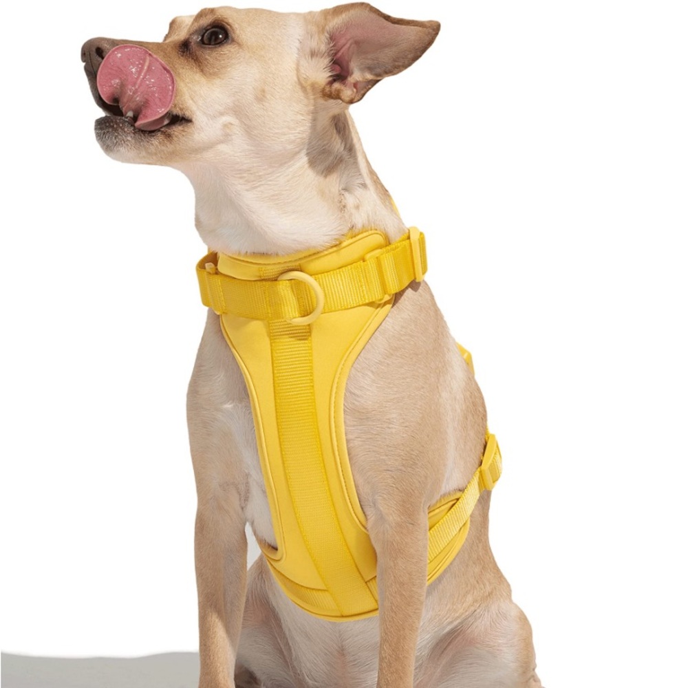 Wild One dog harness